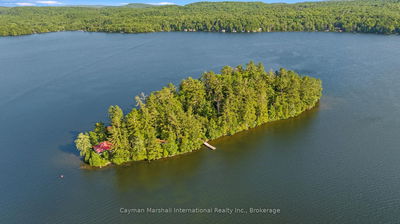 6 Hills Island, Lake of Bays - Franklin image-0-3