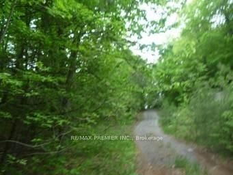 00000 Penyck Lane, Sharbot Lake - Frontenac Centre image-0-3