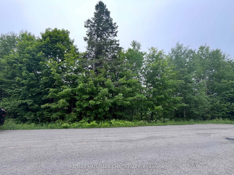 0 Hurdville Rd, McKellar, P2A 0B5 | Image 3