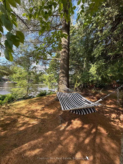 30 Mcvittie Island, Bracebridge - Monck (Bracebridge) image-0-4