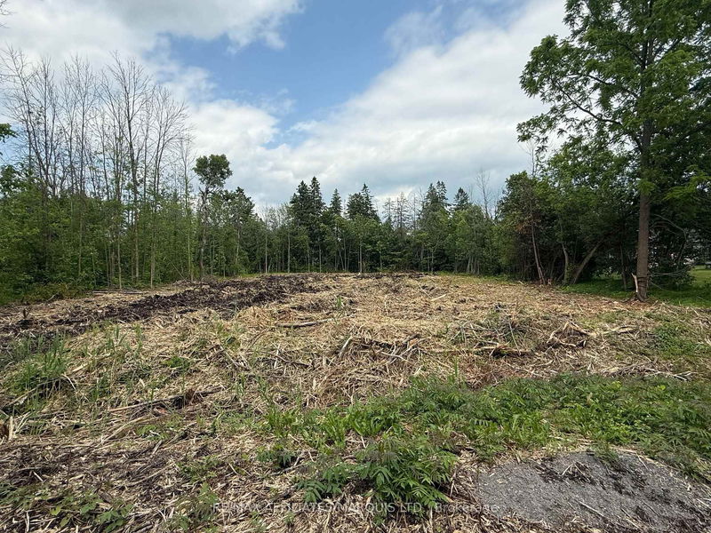 LOT PINE St, North Glengarry - Maxville image-0-0