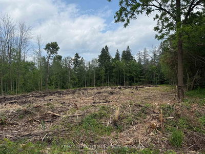 LOT PINE St, North Glengarry - Maxville image-0-4