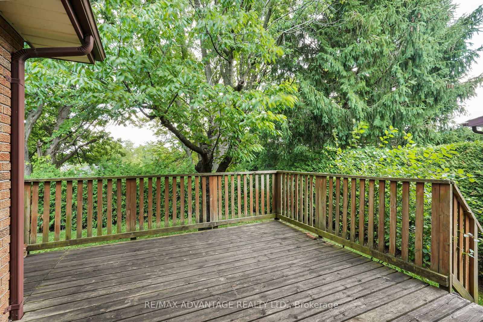 Listing Image 42