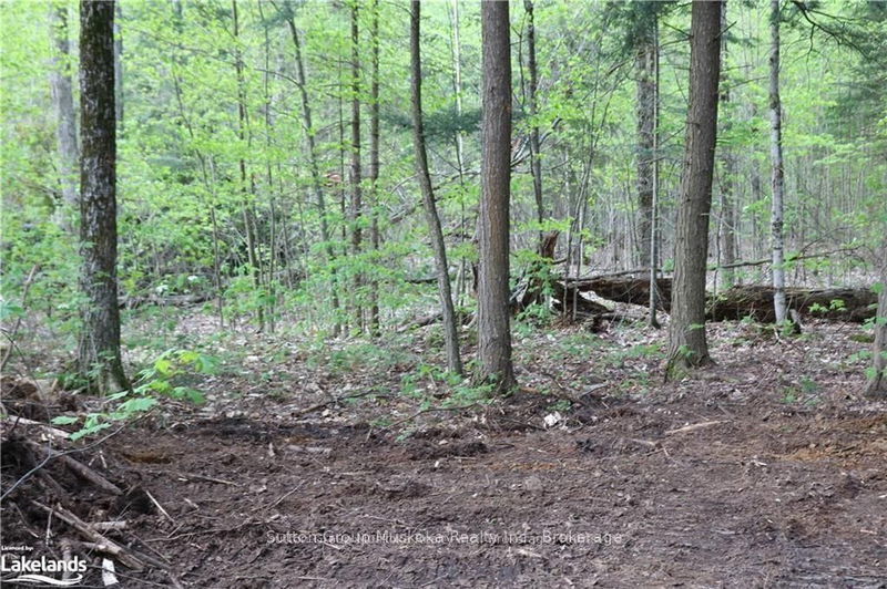  118 Highway, Bracebridge - Draper image-0-0