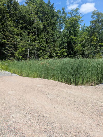  118 Highway, Bracebridge - Draper image-0-2