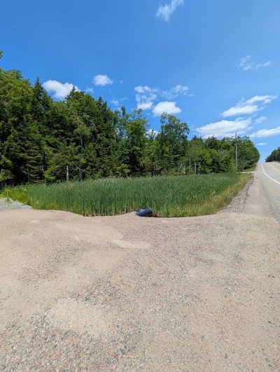  118 Highway, Bracebridge - Draper image-0-3