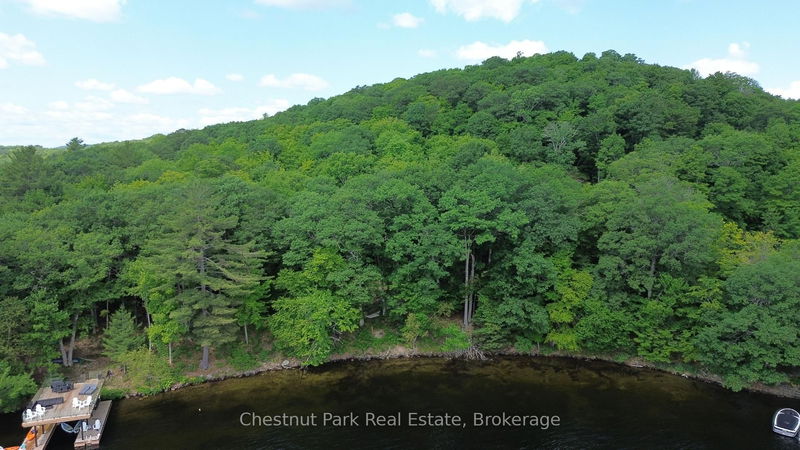540 Bigwin Island, Lake of Bays - Franklin image-0-0