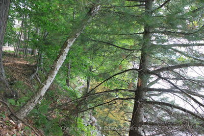 540 Bigwin Island, Lake of Bays - Franklin image-0-4