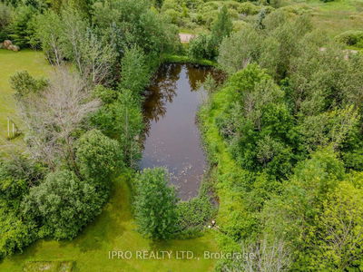 9206 Sideroad 17 Rd, Erin - Rural Erin image-0-2