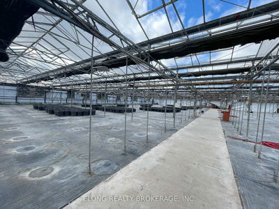 4390 South Service Rd, Lincoln - Lincoln Lake image-0-3