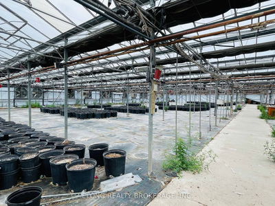 4390 South Service Rd, Lincoln - Lincoln Lake image-0-4