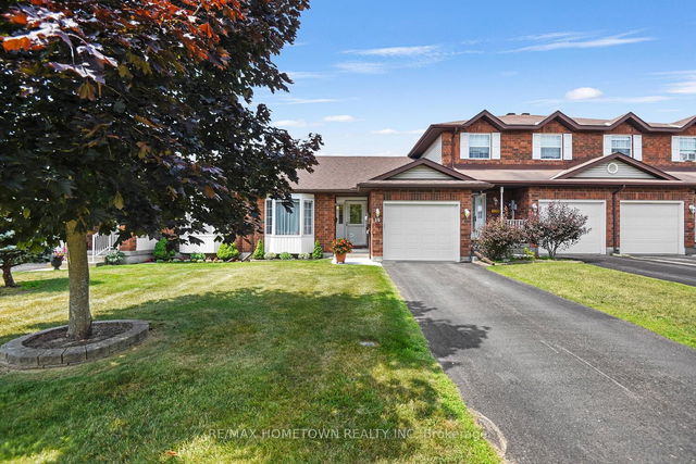 16 Wilmot Young Place