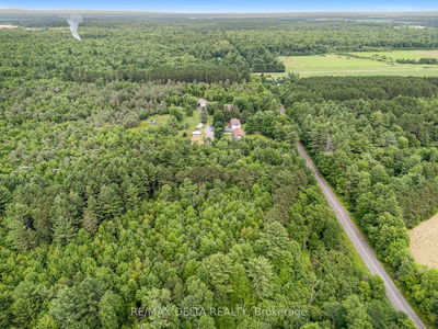 0000 Concession Road 7 Rd, Alfred and Plantagenet - Alfred and Plantagenet Twp image-0-3