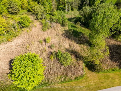 1168 Thousand Island Parkway — photo 6