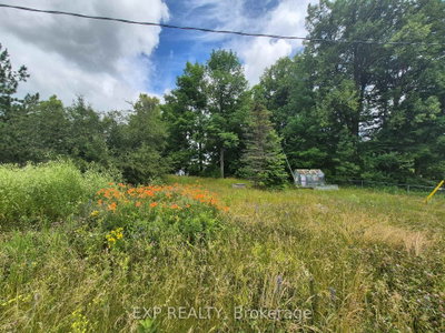 27 Tammy Trail — photo 4