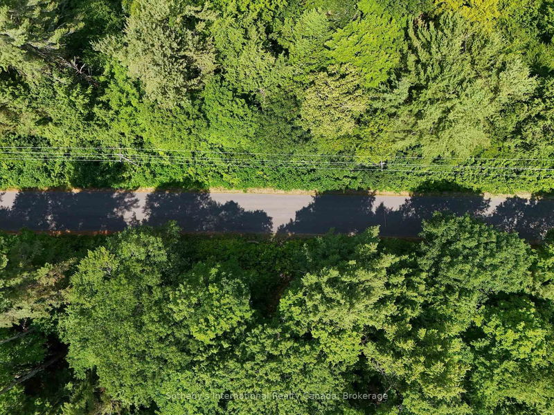 1098 Old Hwy 117, Lake of Bays - Ridout image-0-0