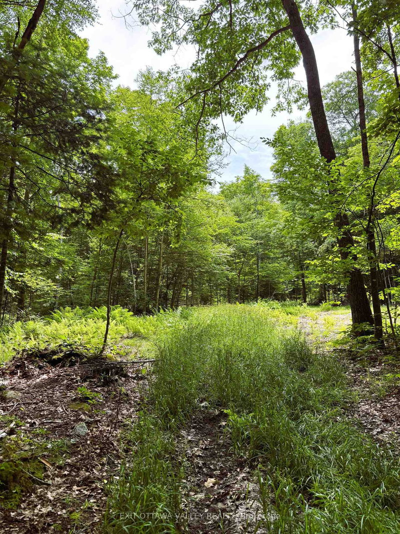 0 Peplinskie Rd, Combermere, K0J 1L0 | Image 2