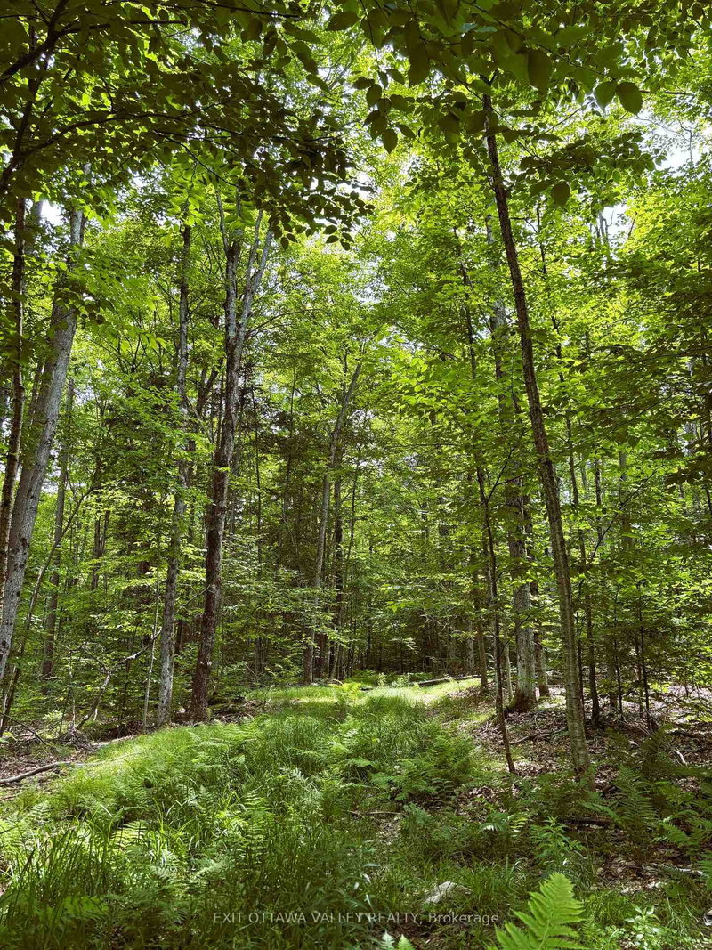 0 Peplinskie Rd, Combermere, K0J 1L0 | Image 3