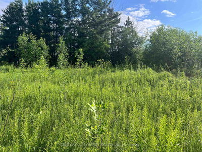 00 Russett Dr, Arnprior - Mcnab/Braeside Twps image-0-4