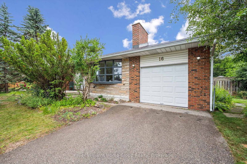 16 Eleanor Crt, Guelph - Grange Road image-0-0