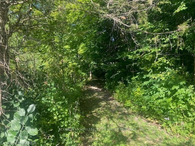 000 County Rd 11, Jones Falls Road
