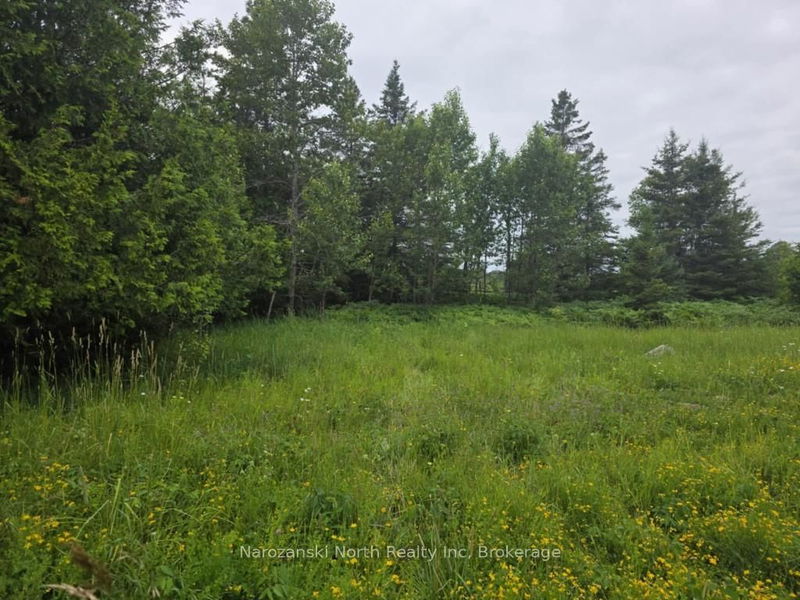 1119 Blue Rd, Central Manitoulin -  image-0-0