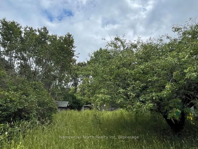 1119 Blue Rd, Central Manitoulin -  image-0-2