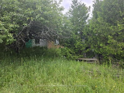 1119 Blue Rd, Central Manitoulin -  image-0-4