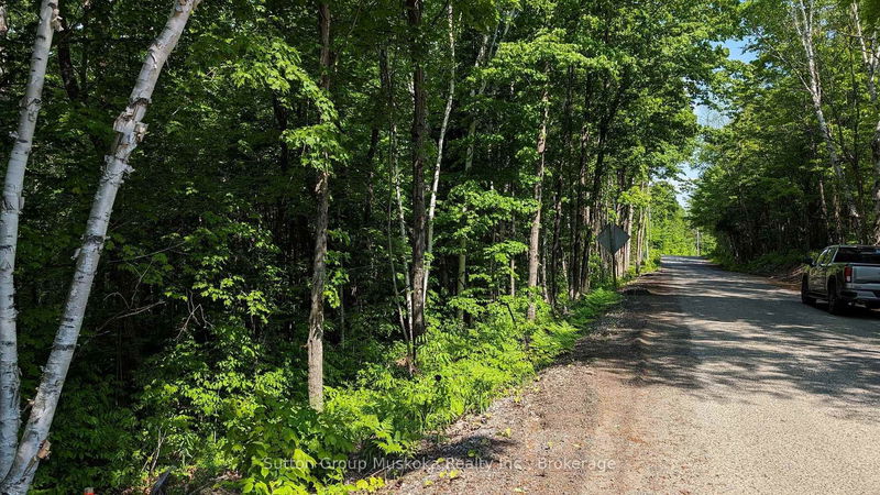Lot 1 Tally-Ho Winter Park Rd, Lake of Bays - Sinclair image-0-0