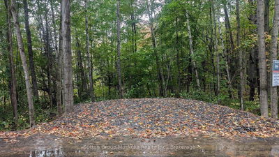 Lot 1 Tally-Ho Winter Park Rd, Lake of Bays - Sinclair image-0-2