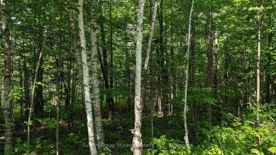 Lot 1 Tally-Ho Winter Park Rd, Lake of Bays - Sinclair image-0-4
