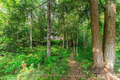 1083 Fairy Falls Rd, Lake of Bays -  image-0-2