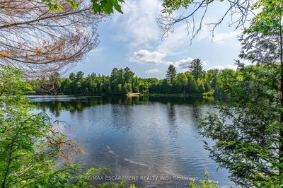 1083 Fairy Falls Rd, Lake of Bays -  image-0-3
