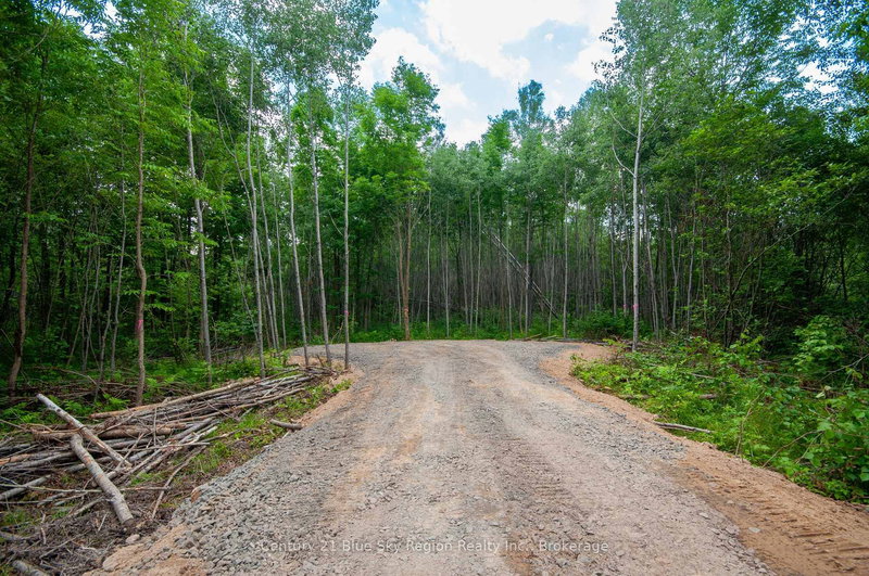 249 HILLS SIDING Rd, Callander, P0K 1H0 | Image 3