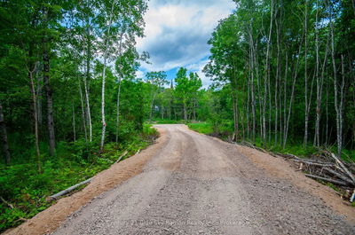 249 HILLS SIDING Rd, Callander - Callander image-0-3