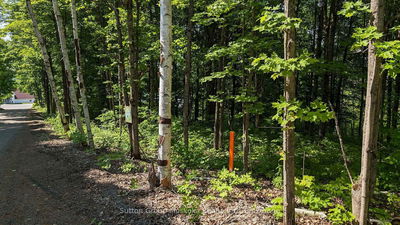 Lot 2 Tally-Ho Winter Park Rd, Lake of Bays - Sinclair image-0-1