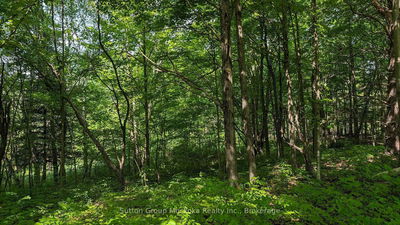 Lot 2 Tally-Ho Winter Park Rd, Lake of Bays - Sinclair image-0-2