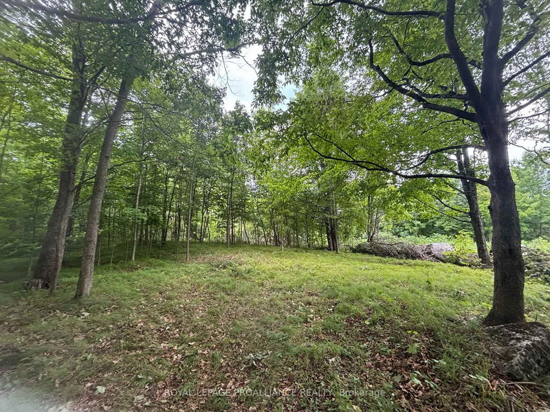 Severed B - 554 Pigden Rd, Madoc, K0K 2K0 | Image 2