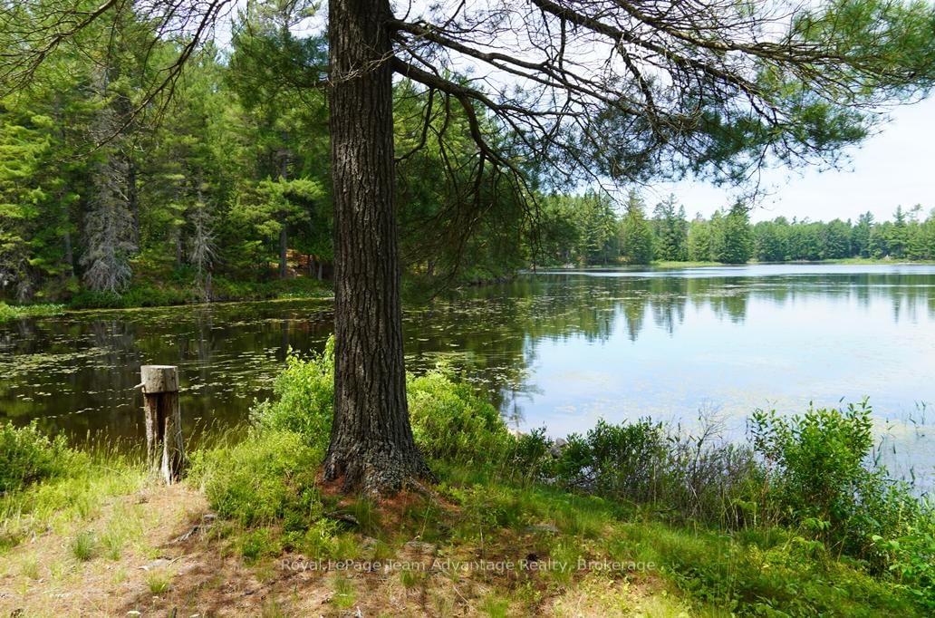 AE 380 & JDD 651 BIRD LAKE • Killarney, ON photo 39