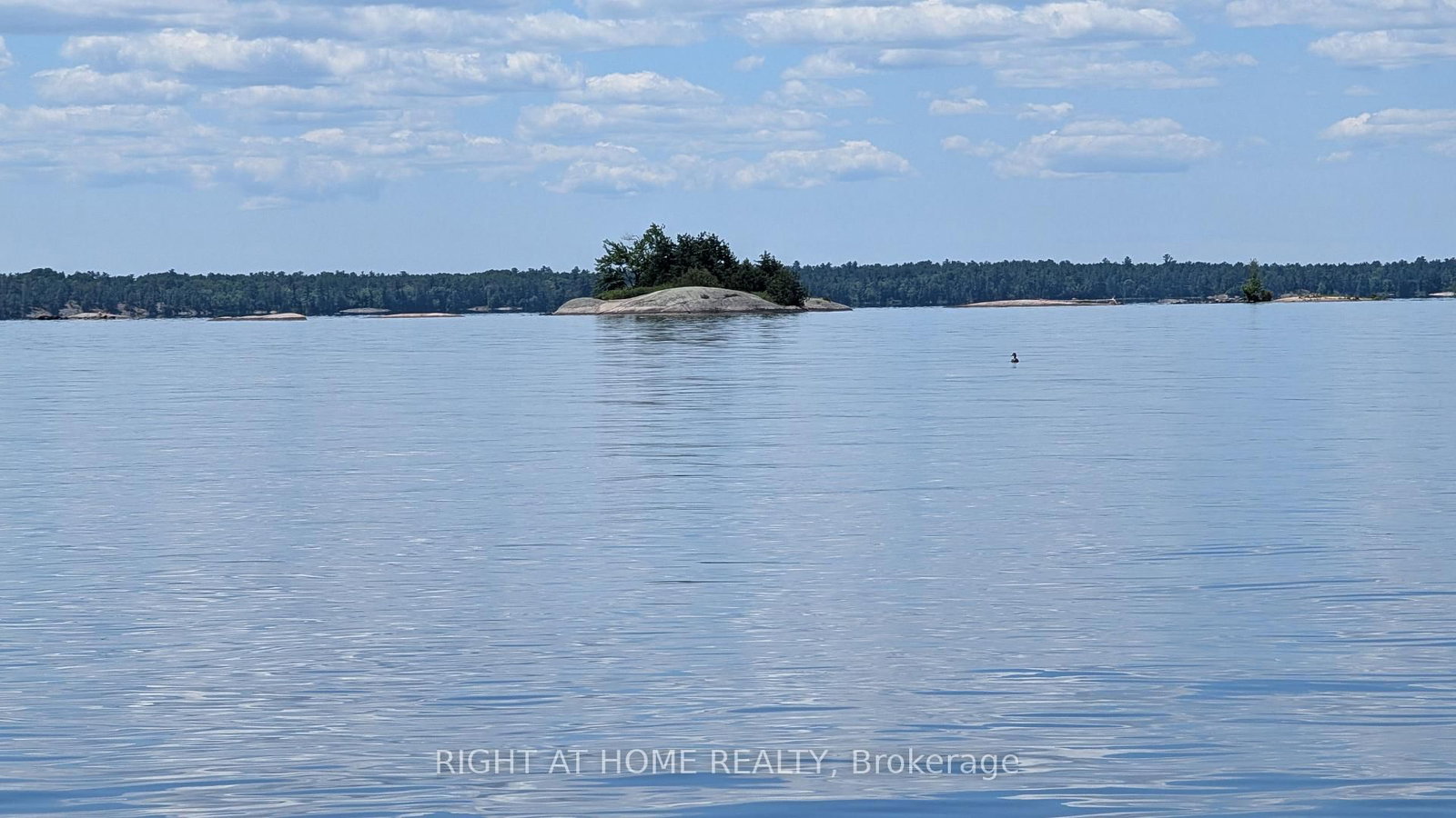 Listing Image 43