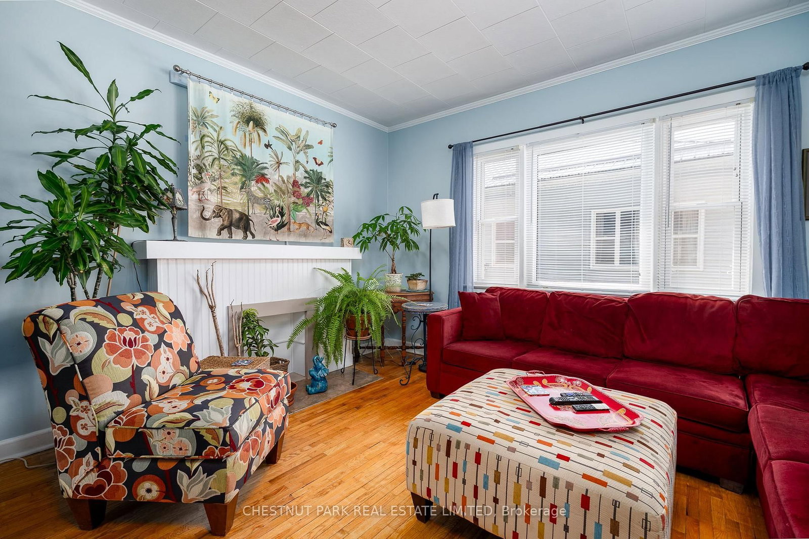 Listing Image 7