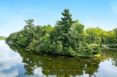 000 Graceys Island, Sharbot Lake - Frontenac Centre image-0-4