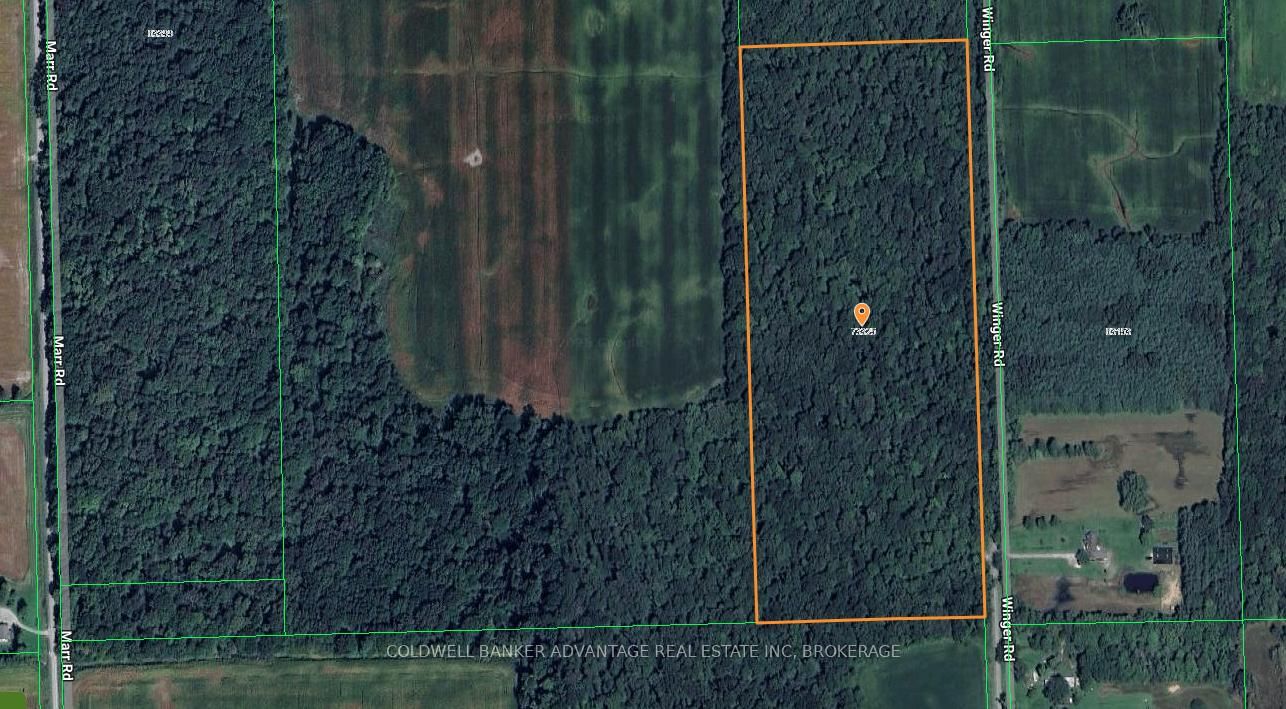 Listing Image 7