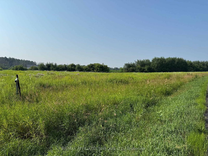 Lot South Branch Rd S, South Dundas, K0E 1K0 | Image 2
