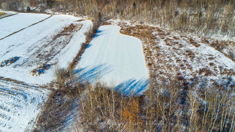 N/A (Part lot 1 County 17 Rd, Alfred and Plantagenet, K0B 1L0 | Image 3