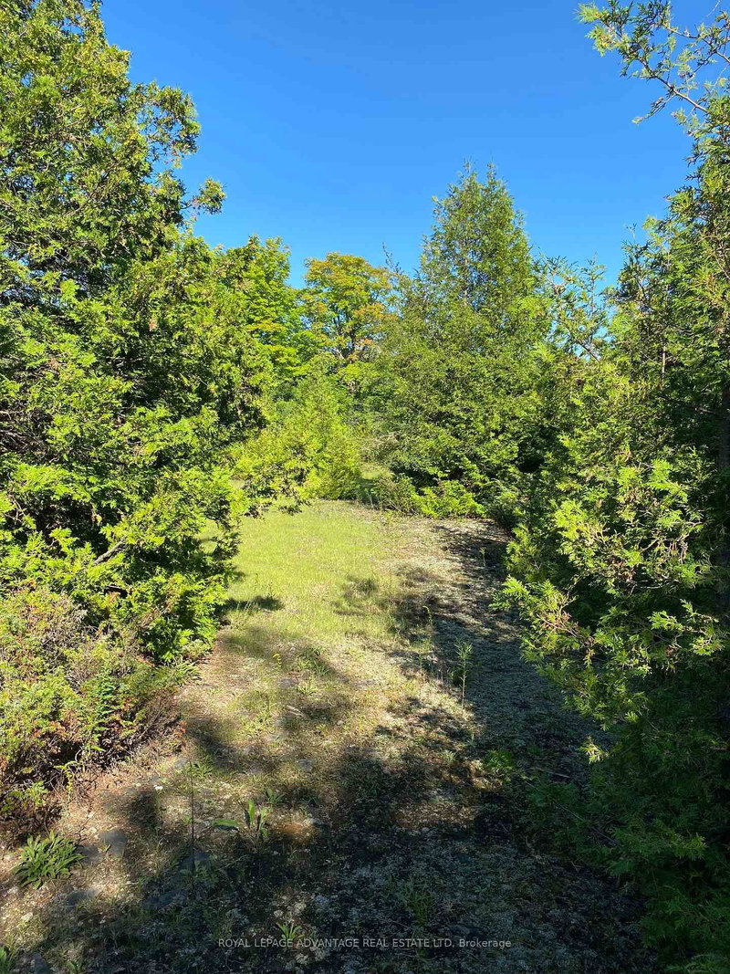 14311 County 15 Rd, Merrickville-Wolford, K0G 1N0 | Image 3