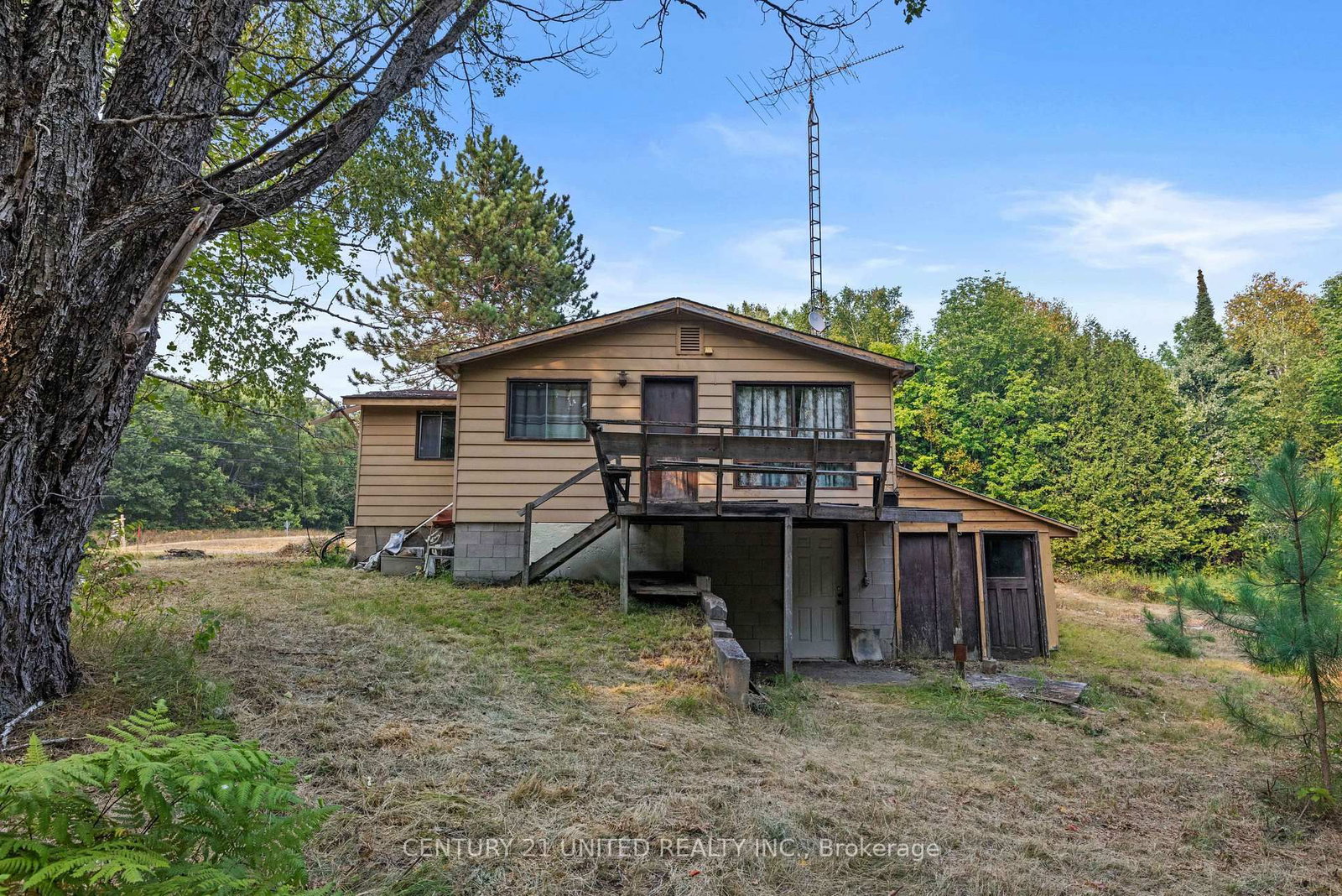 2039 County Road 620 • North Kawartha, ON photo 15