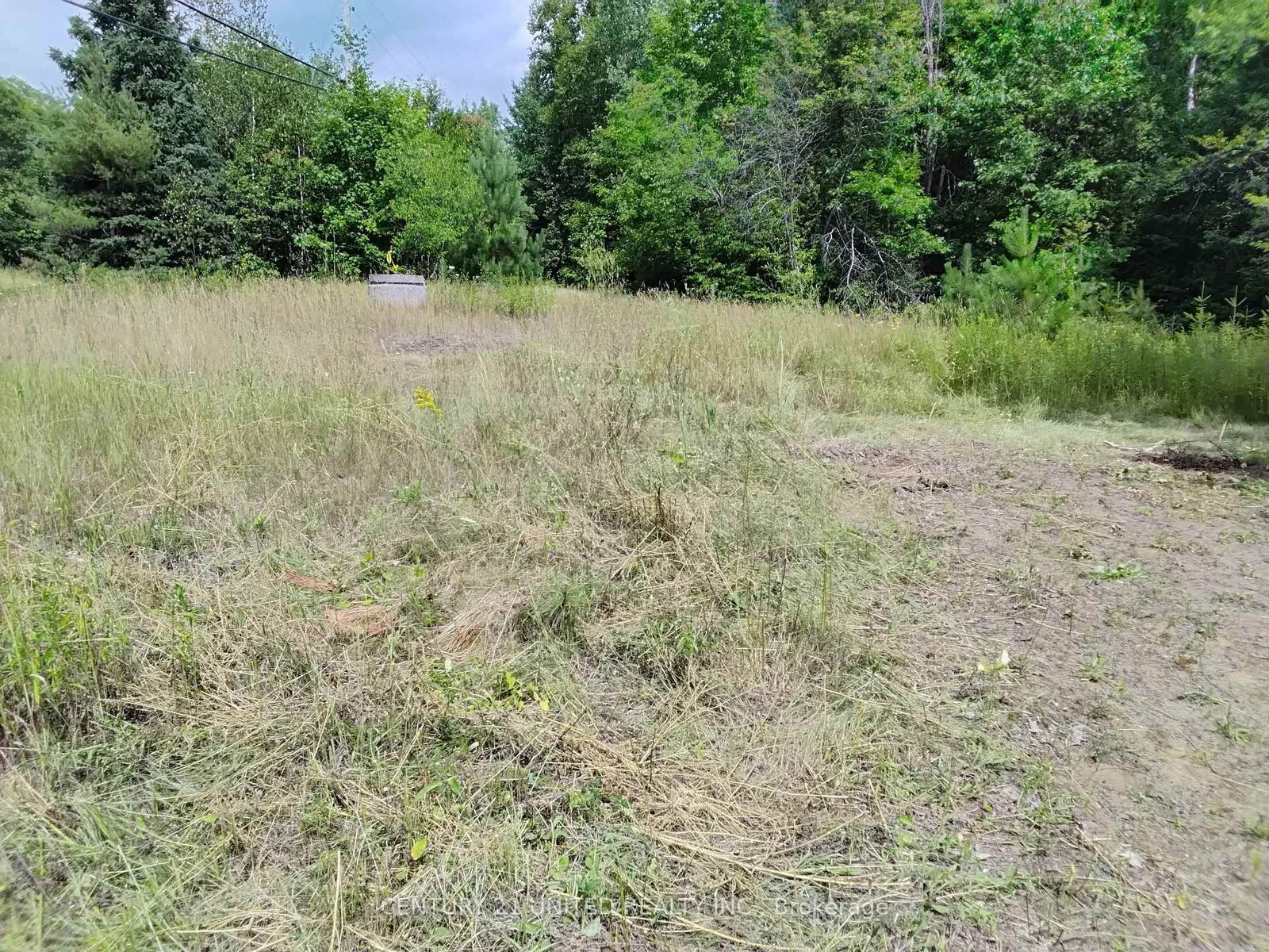 2039 County Road 620 • North Kawartha, ON photo 24