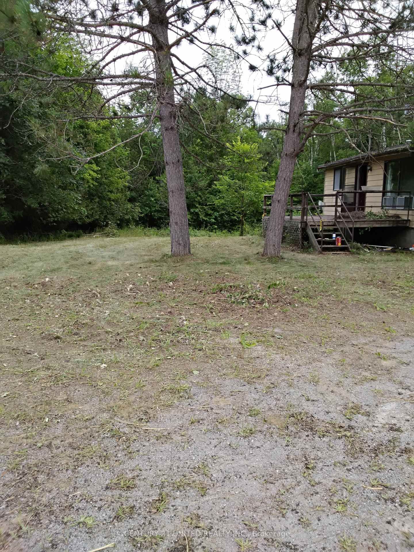 2039 County Road 620 • North Kawartha, ON photo 25