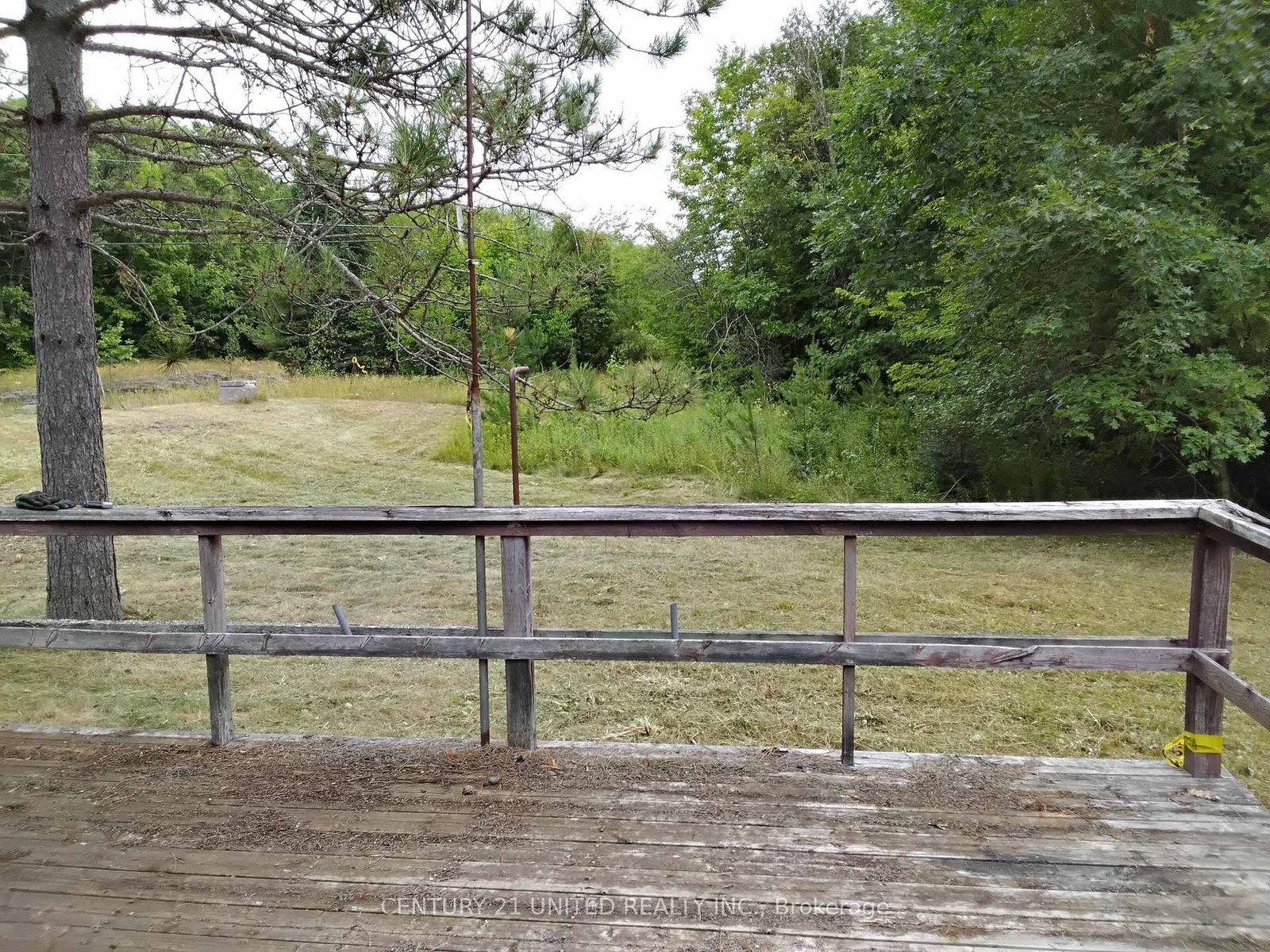 2039 County Road 620 • North Kawartha, ON photo 37